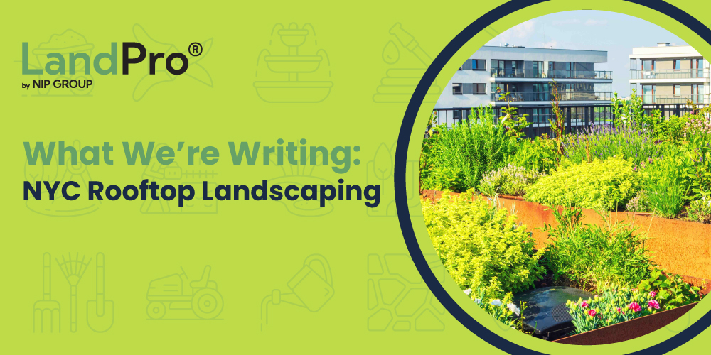ASSET_What-Were-Writing-NYC-Rooftop-Blog-Header_Brokers_20260911