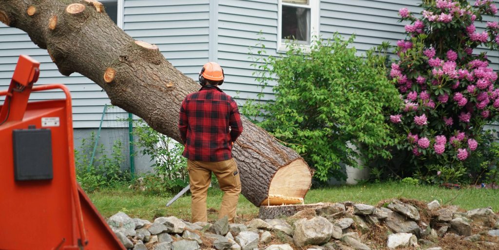 manual worker removing tree in residential area