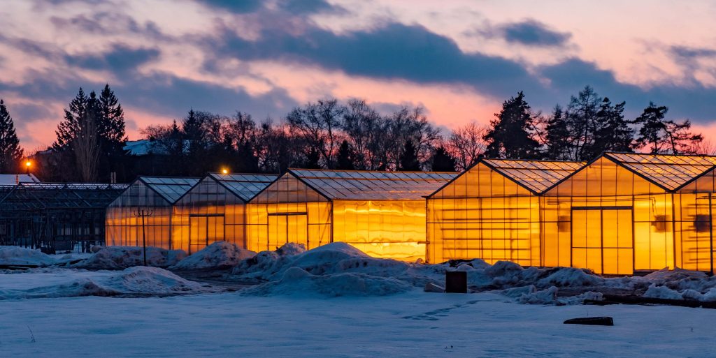 Greenhouse complex for cultivation of agricultural and ornamenta