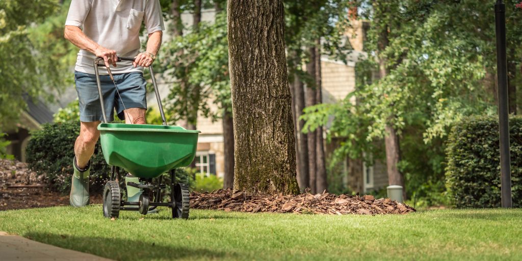 Man seeding and fertilizing residential backyard lawn with manua