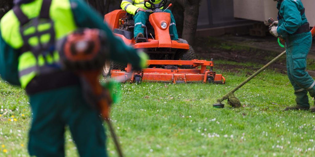 Landscapers working with lawn equipment