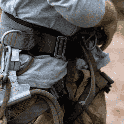 Arborists who overlook fall protection are at severe risk
