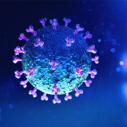 Picture of coronavirus (COVID-19)