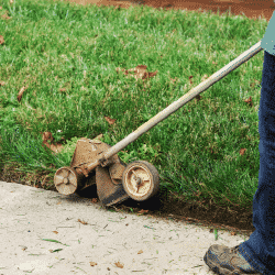 Landscaping professionals performing routine lawn maintenance can help prevent grass diseases