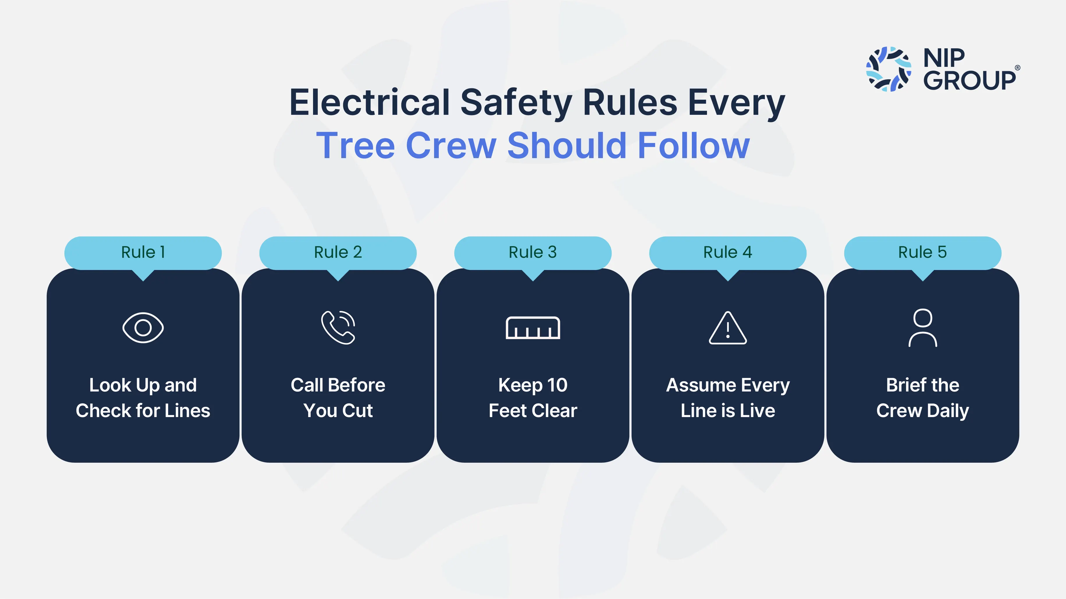 Infographic listing five electrical safety rules for tree trimming crews