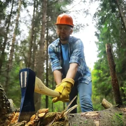 A tree service worker chopping a tree with an ax in the forest