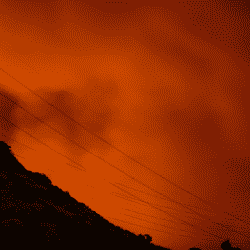 Proper utility line clearing can help prevent potential wildfires