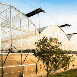 Greenhouse structures are at risk to a number of exposures