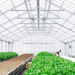 Fire resistant greenhouse structures help thwart damage from wildfires