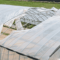 Wind damage to greenhouse structure