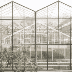 Glass greenhouse coverings are prone to damage from the elements