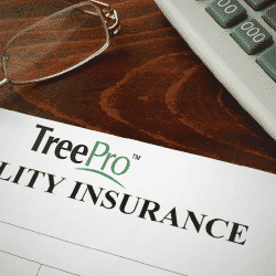 TreePro offers premier, comprehensive tree service insurance options.