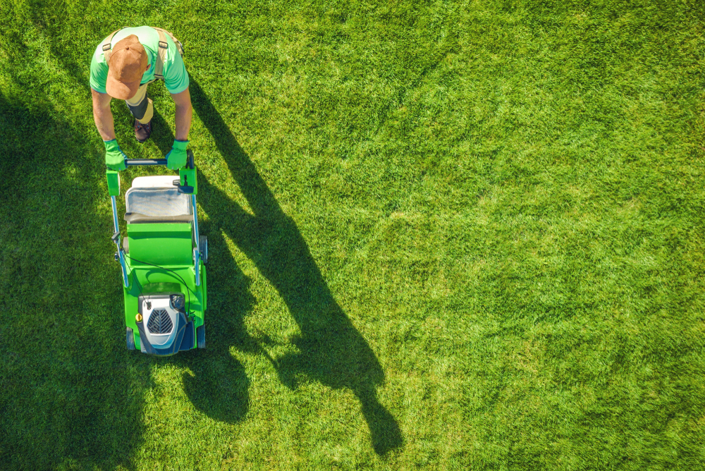 LandPro Image 22