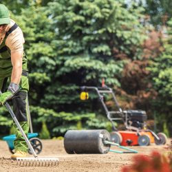 Landscaper raking in customer's yard