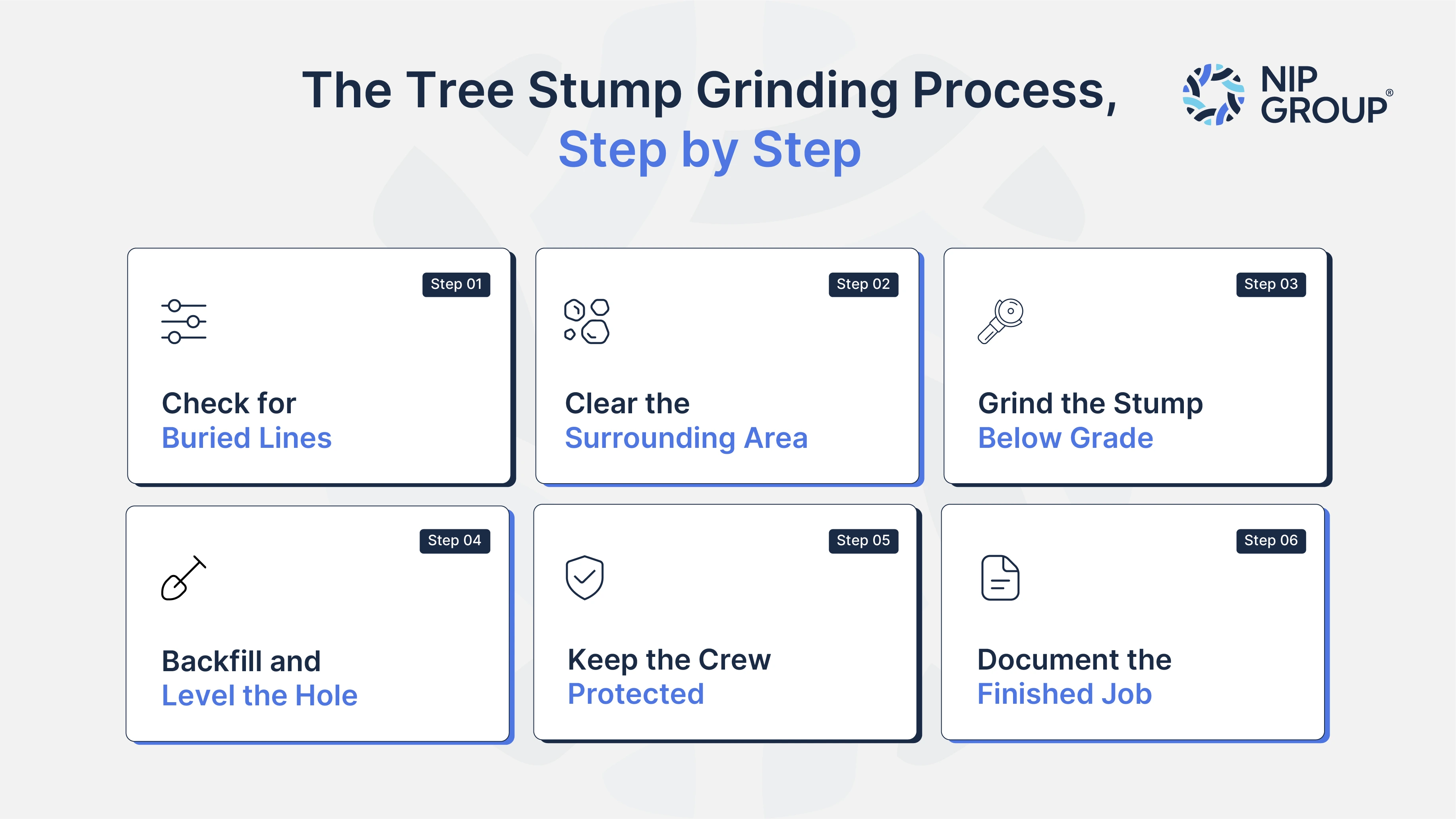 Infographic outlining six steps in the tree stump grinding process: checking for buried utility lines, clearing the surrounding area, grinding the stump below grade, backfilling and leveling the hole, protecting the crew, and documenting the completed job.