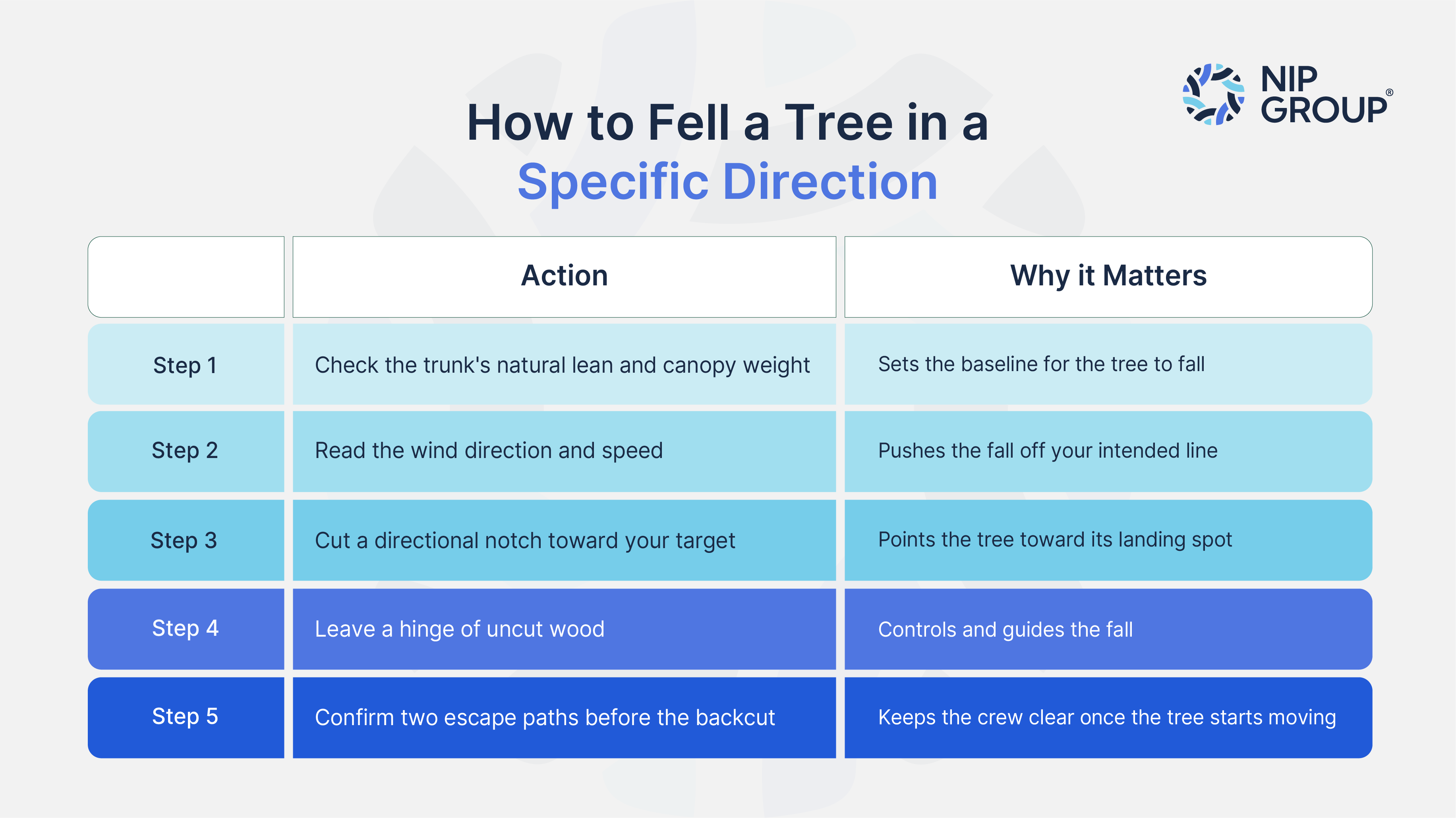 How to Fell a Tree in a Specific Direction: 5-Step Safety Sequence