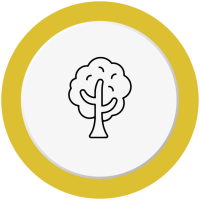 TreePro-Land-Page-Icon-01-03 Icon of a tree