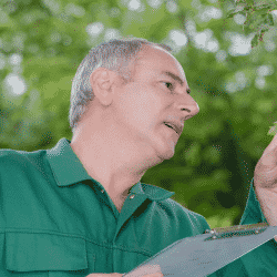 Preventative tree care is crucial to identifying potential issues.