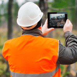 Tree service business owner takes photo of forest
