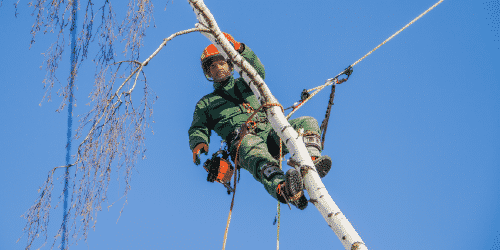 Utility arborist fall safety gear