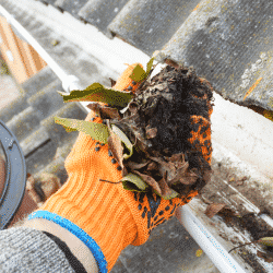 Gutter cleaning is a service your tree care business can offer clients
