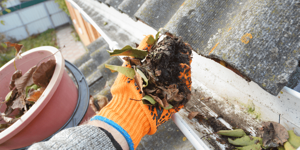 Tree_care_services Gutter cleaning is a service your tree care business can offer clients