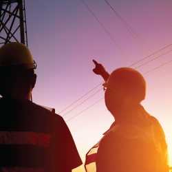 Utility contractors inspecting power lines