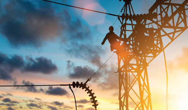 UtilityPro power line maintenance