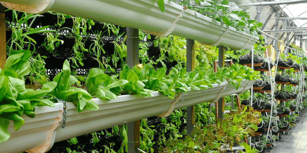 Vertical growing is increasing in popularity throughout the horticulture & floriculture industries