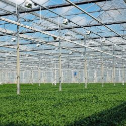 Horticulture & plant grower greenhouse growing facility