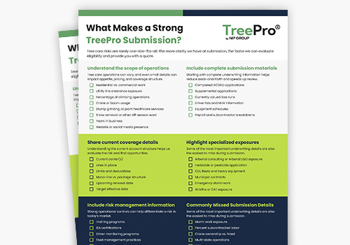 What Makes a Strong TreePro Submission one page
