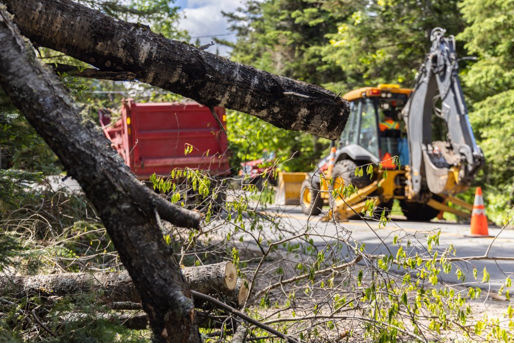 Workers clear storm debris in highway