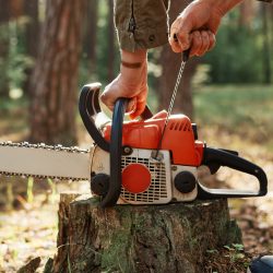 Close-up of a tree professional's hands starting a chainsaw resting on a freshly cut wooden stump in the field