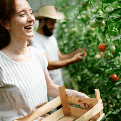 Customer in greenhouse open to public