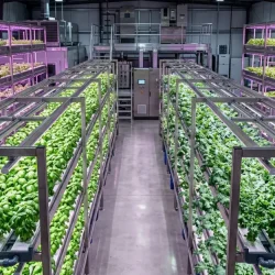 Rows of vertical farming equipment with LED lighting and irrigation lines