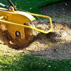 Tree stump grinding in progress on a residential lawn