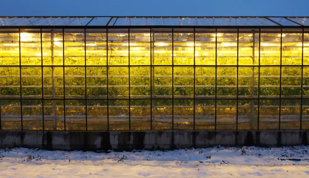 How to keep greenhouse warm in winter after dark