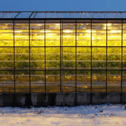 How to keep greenhouse warm in winter after dark