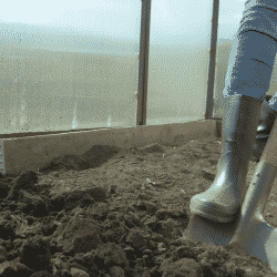 Greenhouse footwear