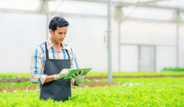 greenhouse-worker-tablet-600x350 Grower using tablet in greenhouse
