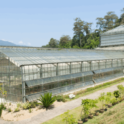 Diagram illustrating optimal greenhouse placement and orientation on a property to maximize sunlight exposure and minimize wind