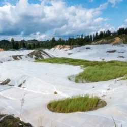 Erosion control construction blanket covering a slope with vegetation growth