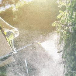 Landscaping professional practicing proper chemical use
