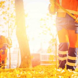 leaf-blowers-autumn Workers raking and using leaf blower in autumn