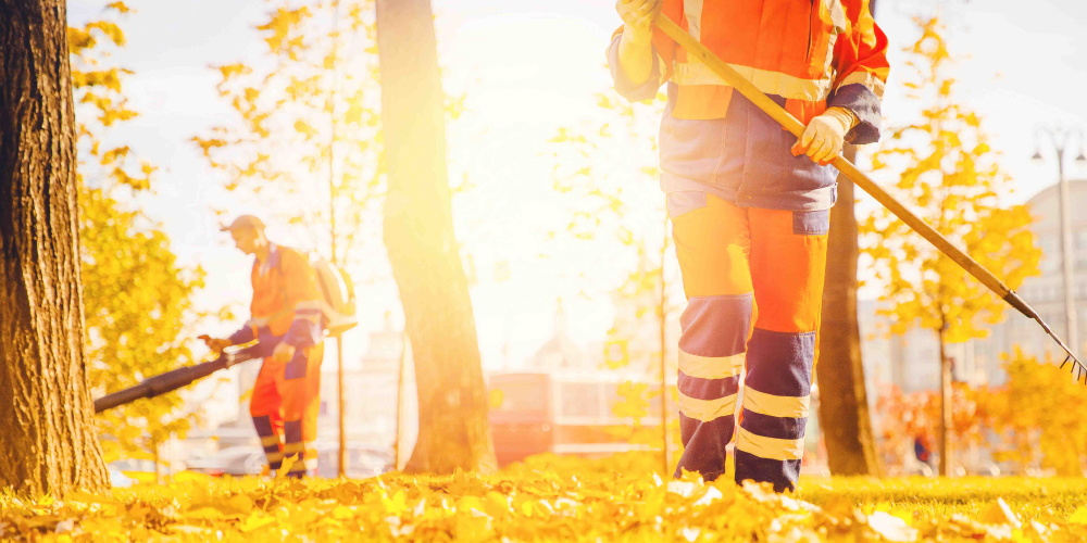 Workers raking and using leaf blower in autumn