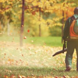 Landscape worker blowing leaves in Autumn