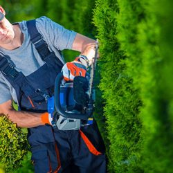 Better Landscaping Insurance Coverage by Design