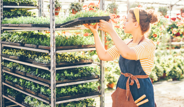 plant-rack-greenhouse-600x350 Garden center owner with plants on a rack