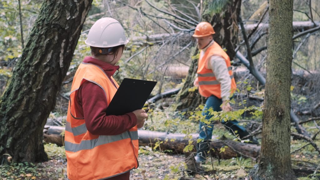 Environmentalists a woman and man draw up a penalty protocol for illegal logging