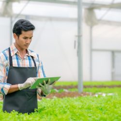 The New Era of Chemical and Pesticide-Free Farming, and How Your Business Should be Protected